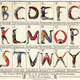 Illustration for article titled Youve never seen the ABCs look this bizarre and wonderful